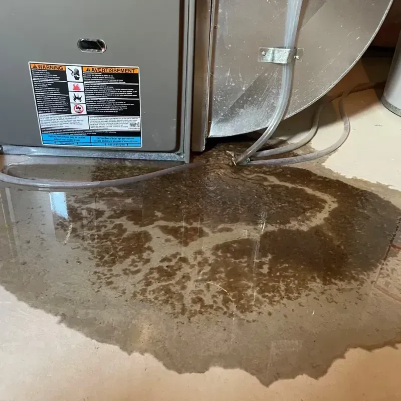 Appliance Leak Cleanup in Vidor, TX